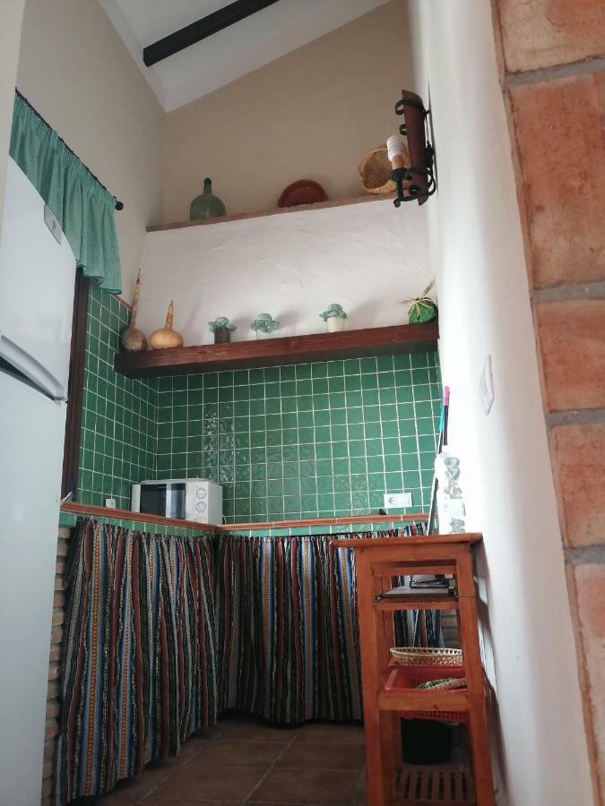 阿达莱斯 La Solana De Turon. El Pino旅馆 外观 照片